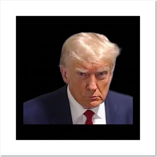 Donald Trump Mugshot Posters and Art